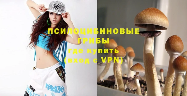амф Арсеньев
