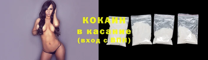крисы Аркадак
